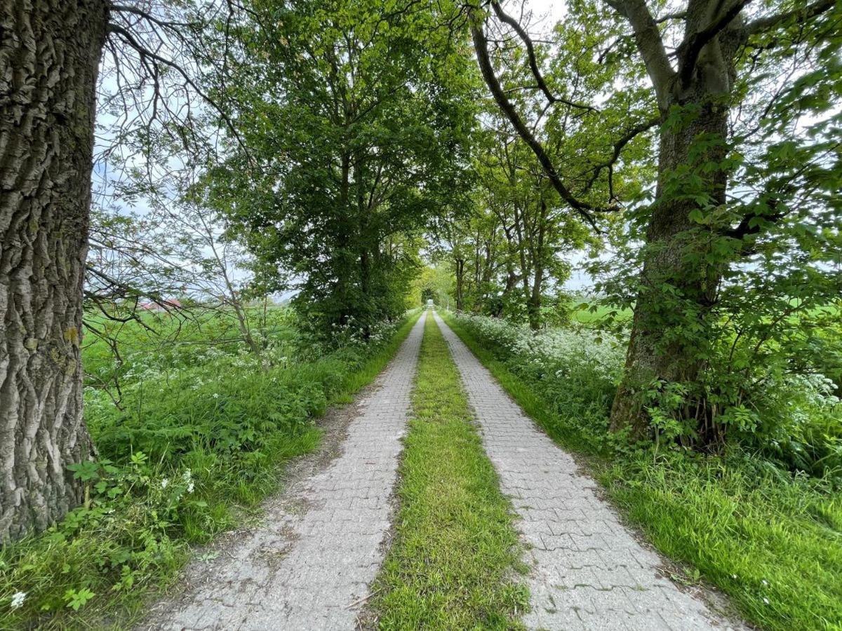 Mooi Stuv , Maisonettenwohnung , Gulfhof , Kachelofen ノルデン エクステリア 写真