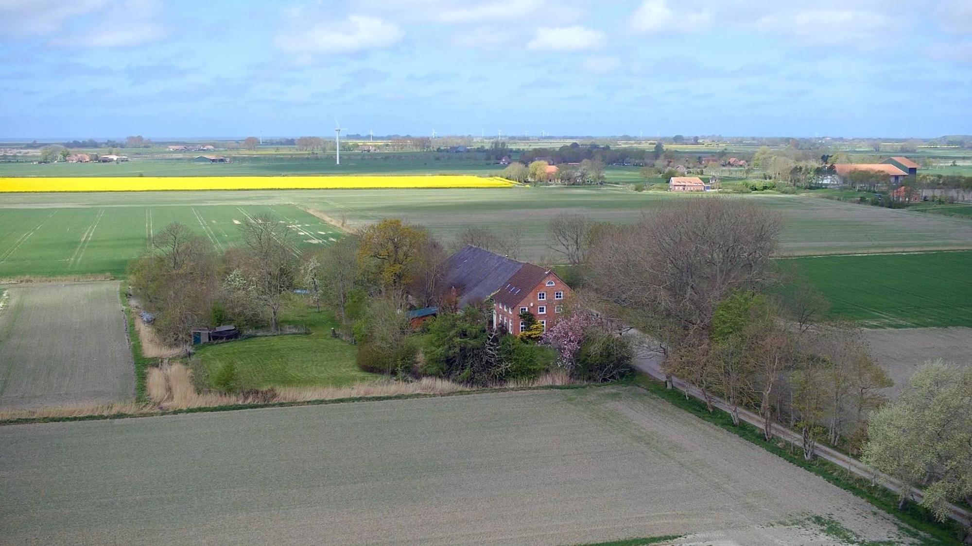 Mooi Stuv , Maisonettenwohnung , Gulfhof , Kachelofen ノルデン エクステリア 写真